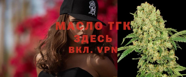 индика Абаза