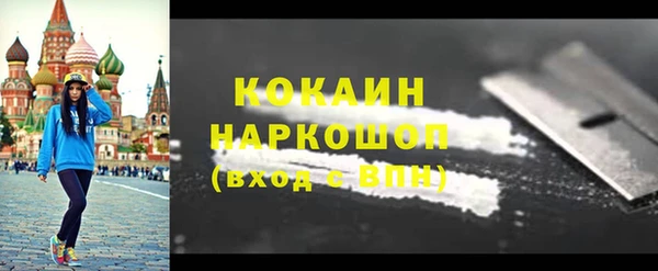 индика Абаза