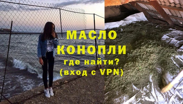 индика Абаза