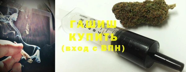 индика Абаза