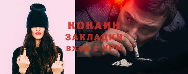 индика Абаза