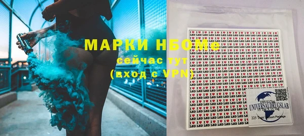 индика Абаза
