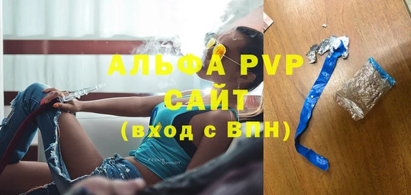 индика Абаза