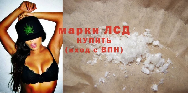 индика Абаза