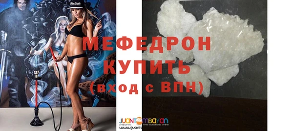 индика Абаза