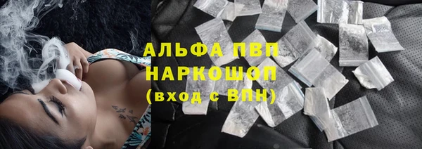 PSILOCYBIN Пересвет