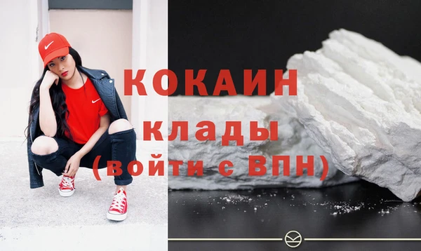 индика Абаза